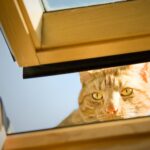 Problem z nieszczelnym oknem dachowym? Identyfikacja przecieków i naprawa