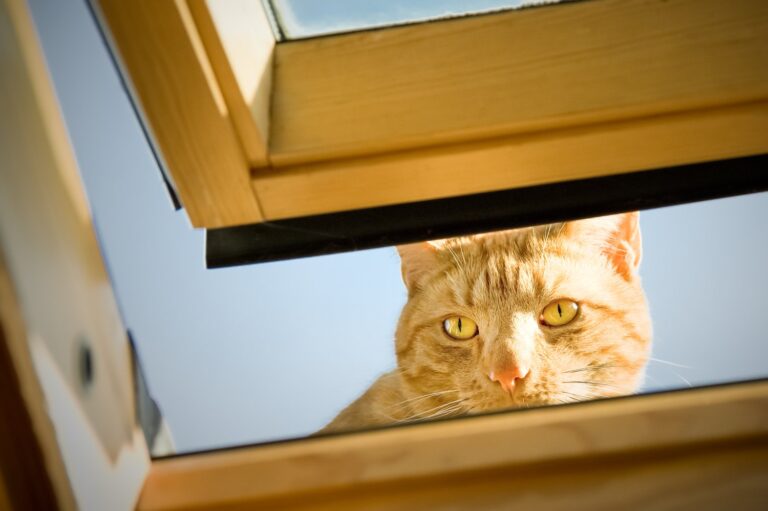 Problem z nieszczelnym oknem dachowym? Identyfikacja przecieków i naprawa