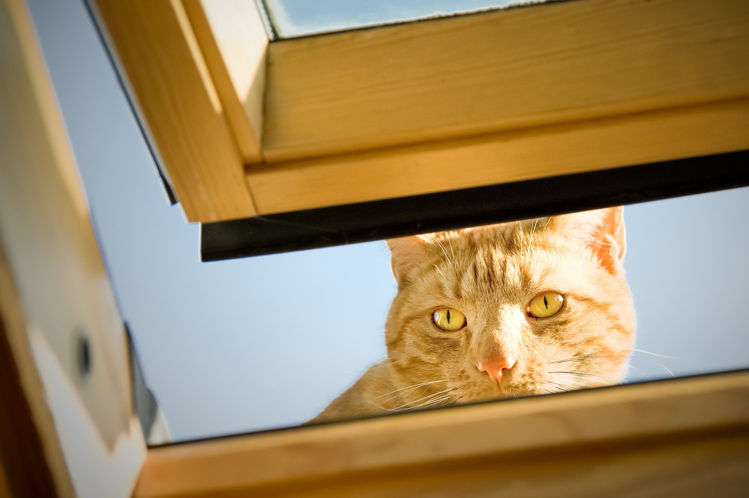 Problem z nieszczelnym oknem dachowym? Identyfikacja przecieków i naprawa